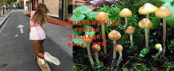 бутират Белокуриха