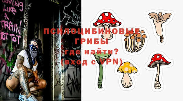 бутират Белокуриха